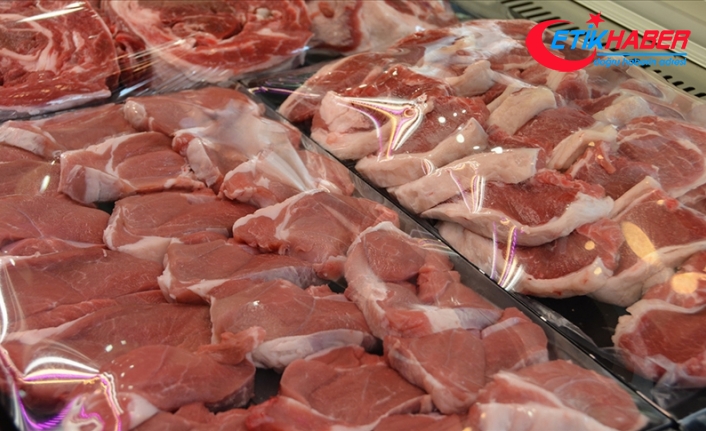 Nisanda fiyatı en fazla artan ürün "kuzu eti", en fazla düşen "elektrik" oldu