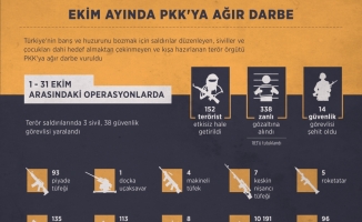 Ekim ayında PKK'ya ağır darbe