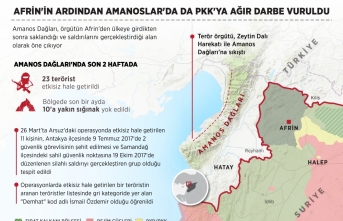 Afrin'in ardından Amanoslar'da da PKK'ya ağır darbe vuruldu