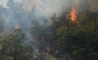 Çanakkale'deki orman yangını sürüyor