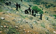 PKK'nın düştüğü zor durum teröristin ifadesine yansıdı