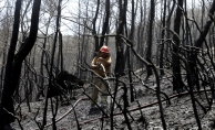 İzmir'deki orman yangınında soğutma çalışmaları sürüyor